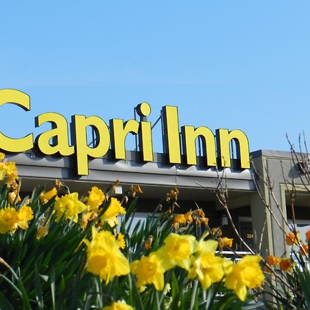 Capri Inn Sainte-Catherine Exteriör bild