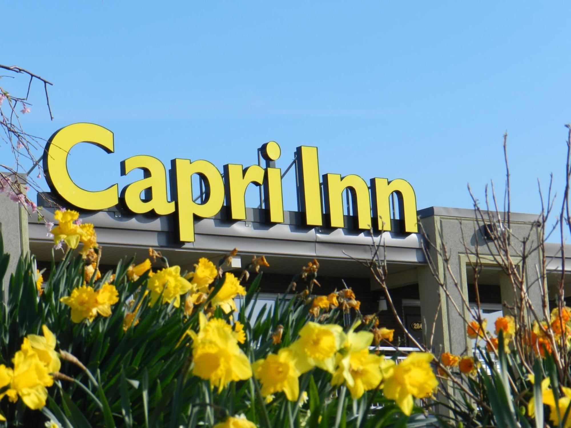 Capri Inn Sainte-Catherine Exteriör bild