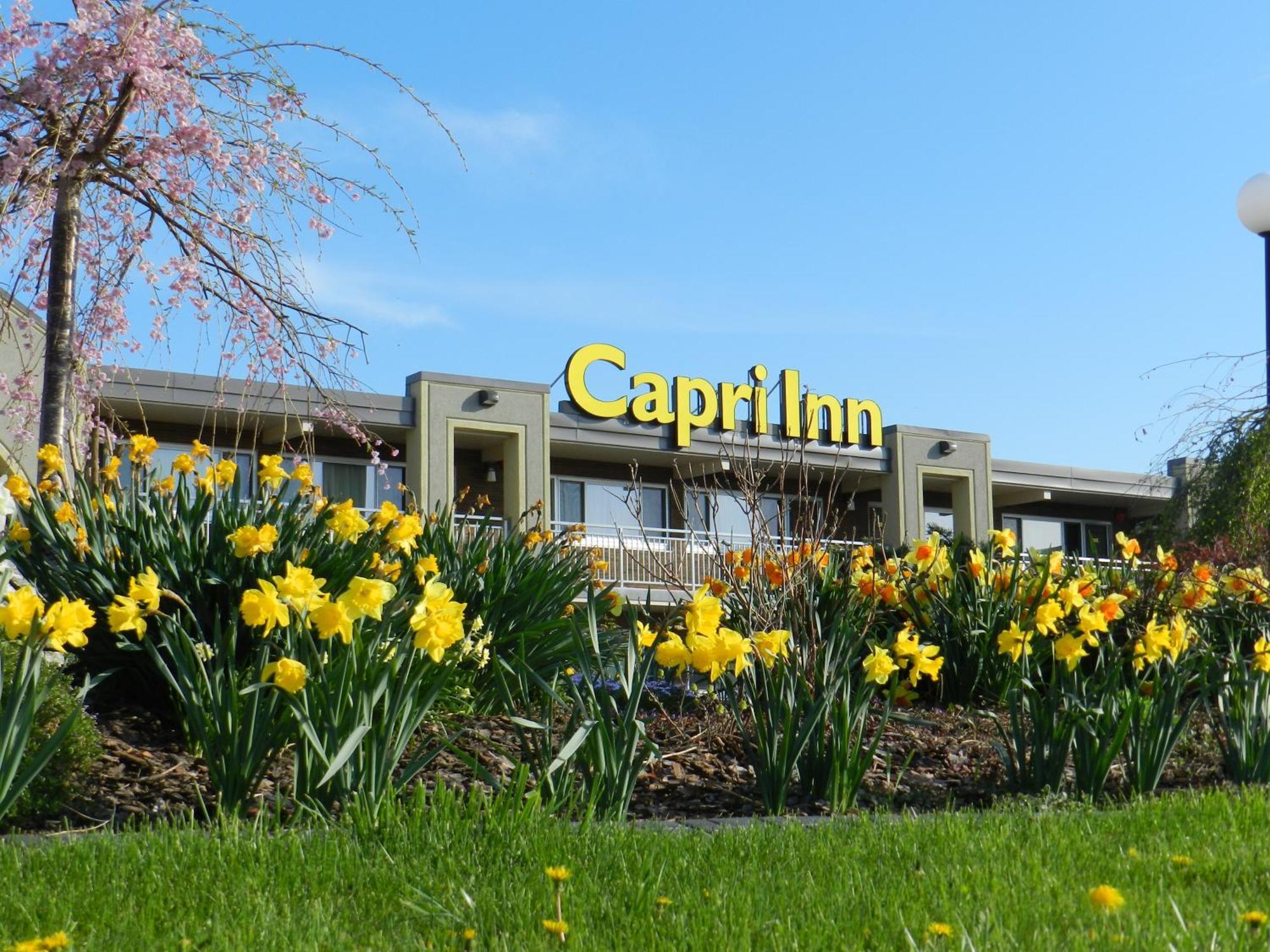 Capri Inn Sainte-Catherine Exteriör bild