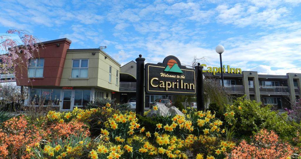 Capri Inn Sainte-Catherine Exteriör bild