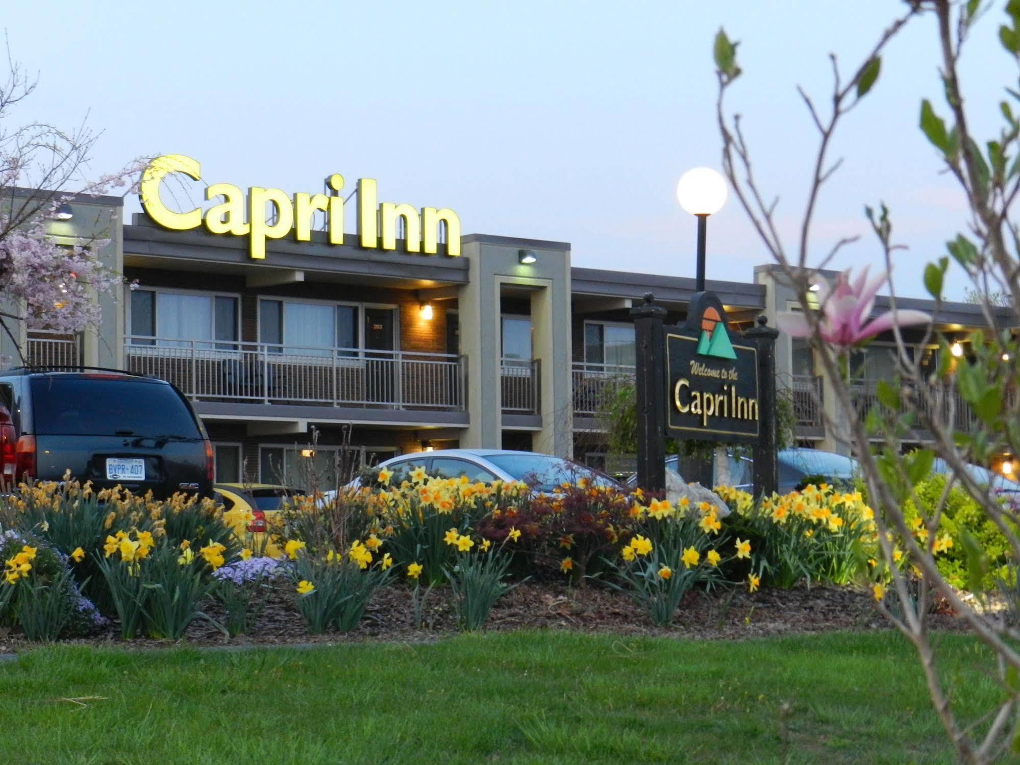 Capri Inn Sainte-Catherine Exteriör bild
